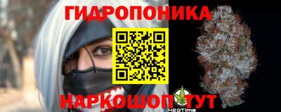 гашиш Можга