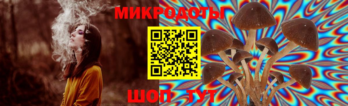 Псилоцибиновые грибы Psilocybine cubensis  Вход с VPN  Торжок 