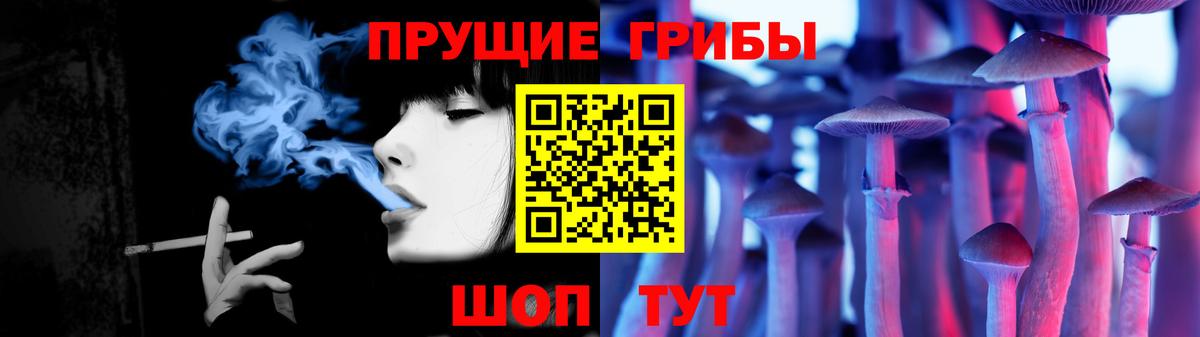 Псилоцибиновые грибы мицелий Торжок