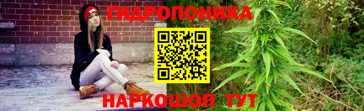 Бошки Шишки LSD WEED  Шишки марихуана план  Торжок  Вход с VPN  Бошки Шишки White Widow  Шишки марихуана THC 21% 